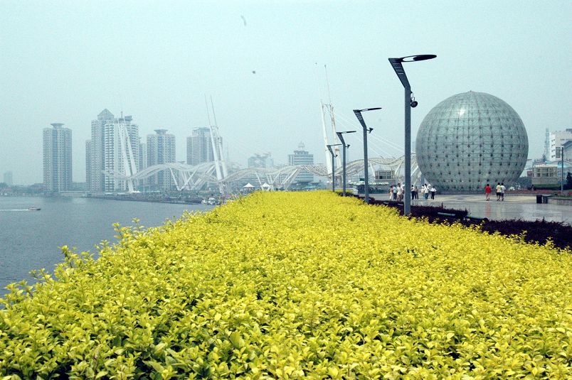 走进大港 看望寒江
