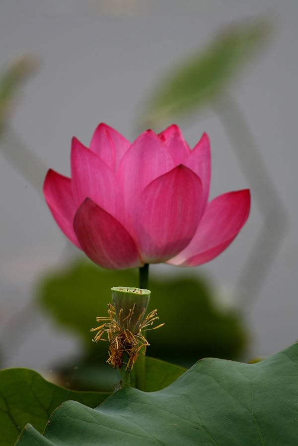 相伴
