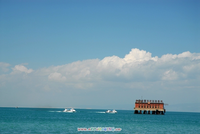 青海湖风光