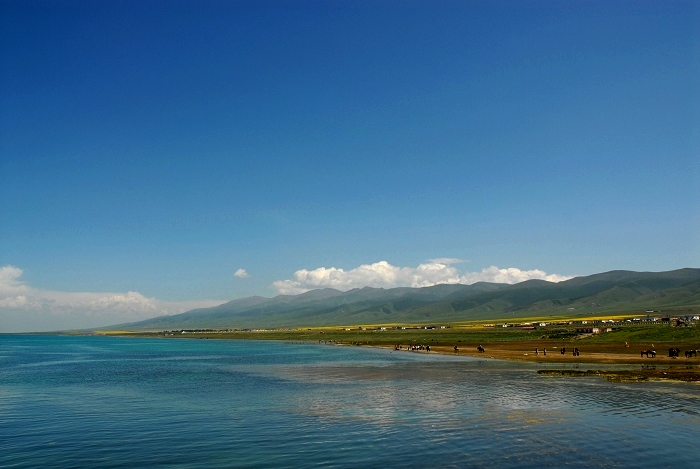 青海湖风光