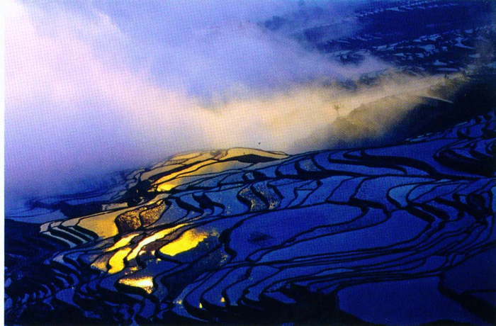 诊片例帖1