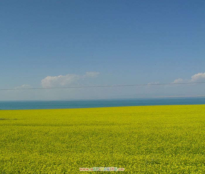 青海