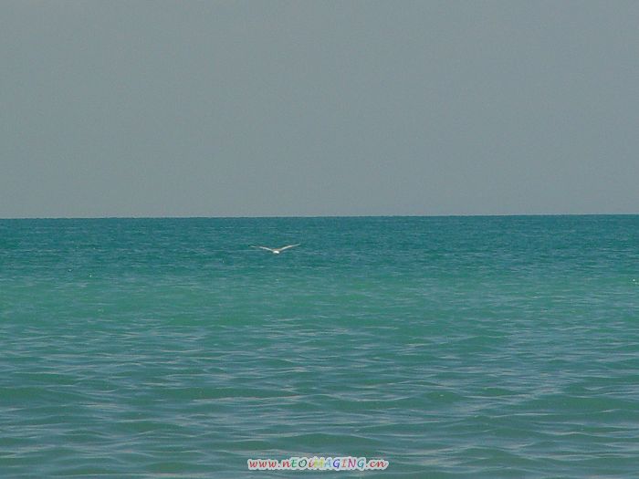 青海
