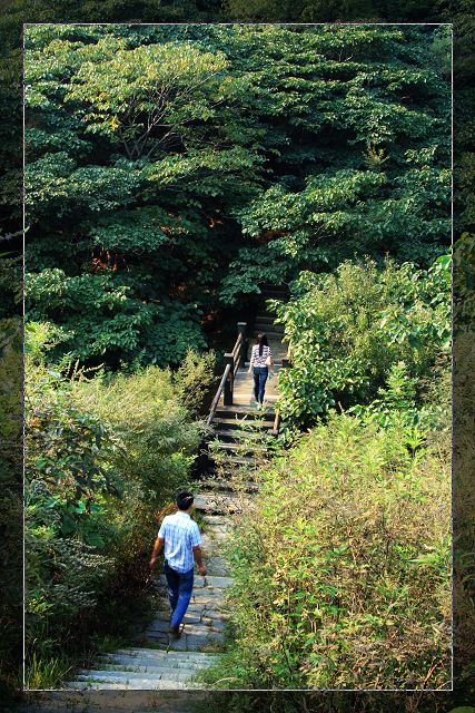 9月9日嵖岈山小片