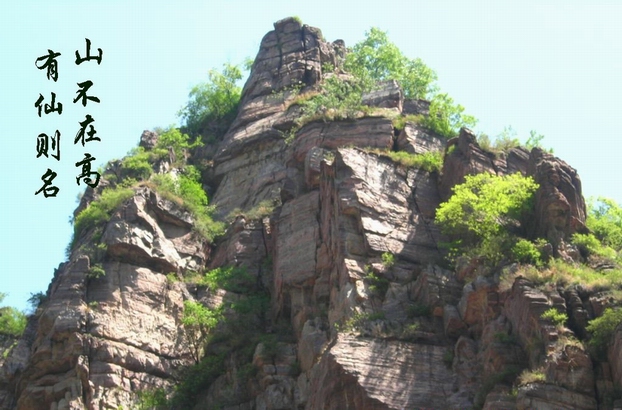 山