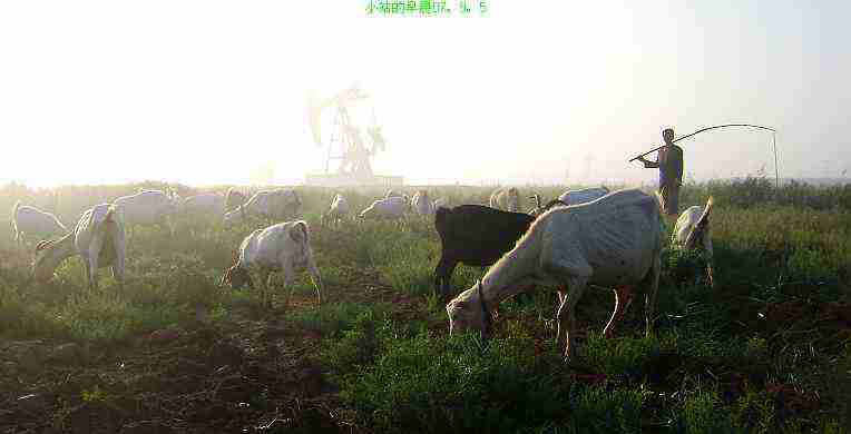 小站早晨
