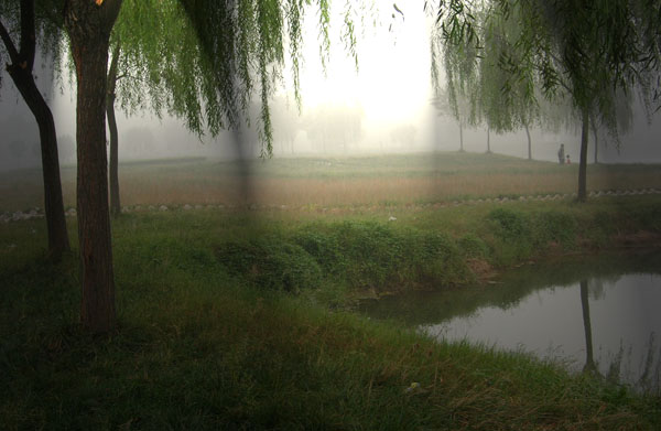 晨