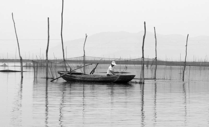 秋日东平湖（黑白篇）