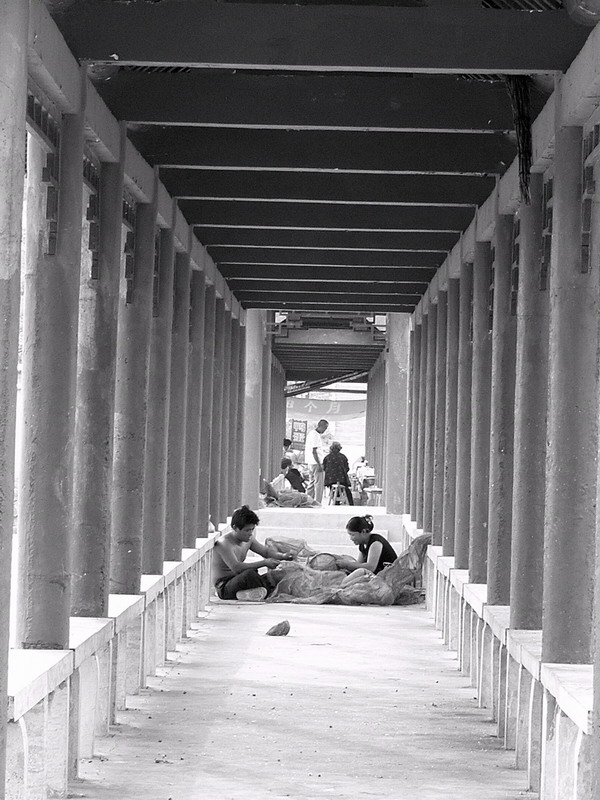 秋日东平湖（黑白篇）