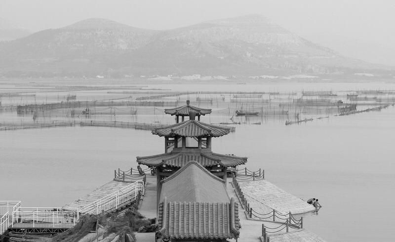 秋日东平湖（黑白篇）