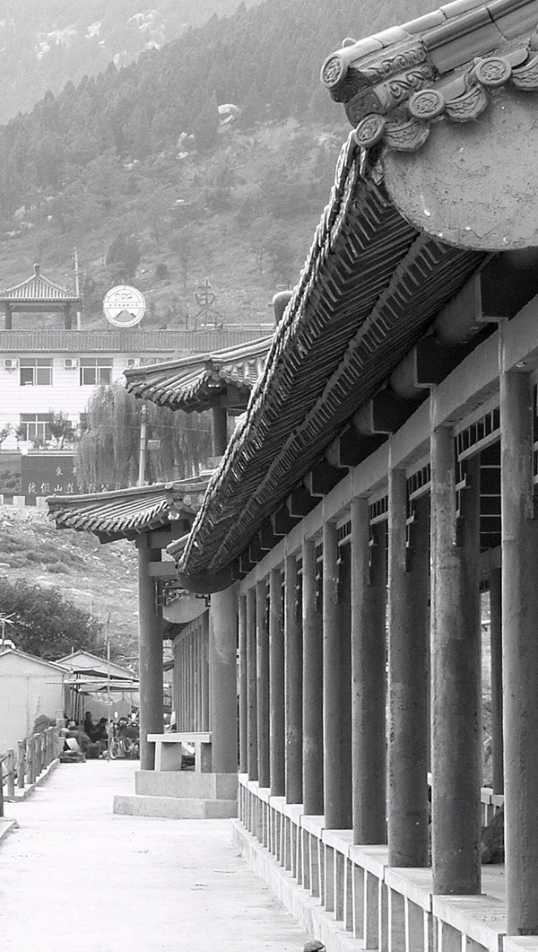 秋日东平湖（黑白篇）