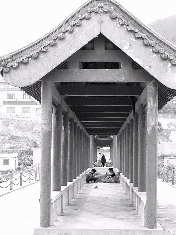 秋日东平湖（黑白篇）
