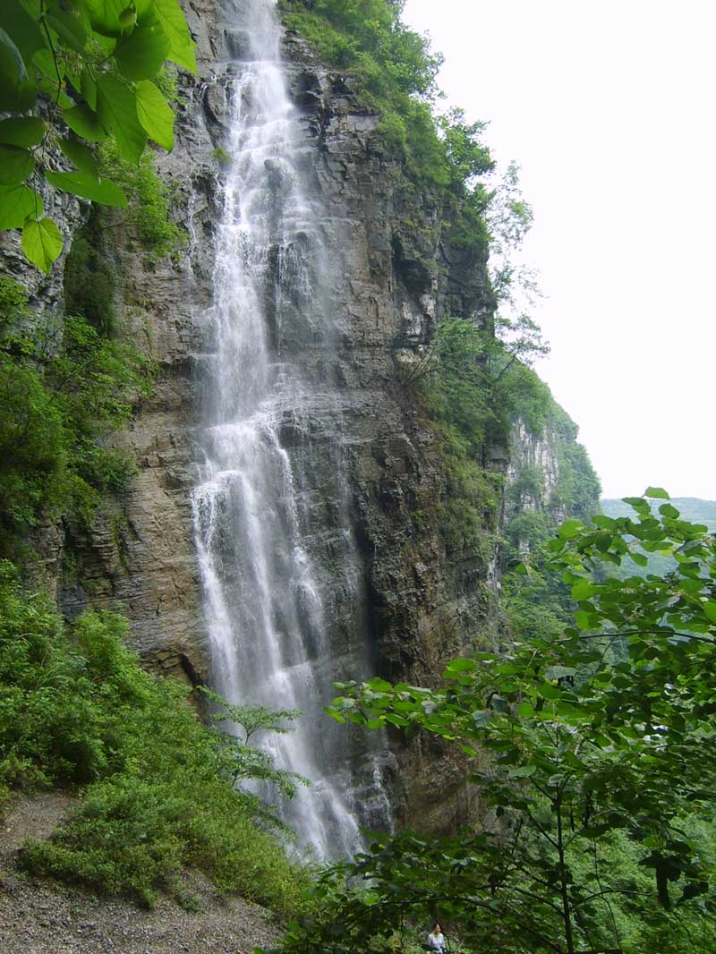 凤凰行