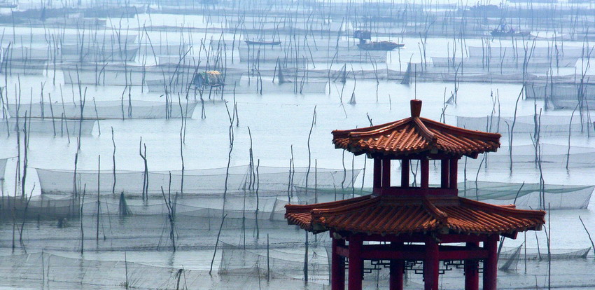 秋日东平湖（彩色篇）