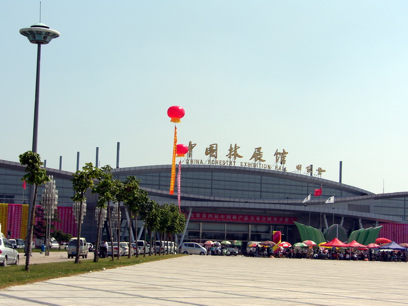闲逛菏泽林交会