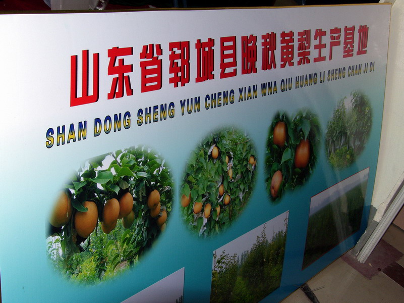 闲逛菏泽林交会