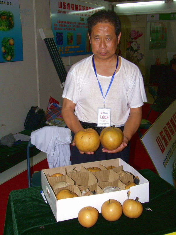 闲逛菏泽林交会