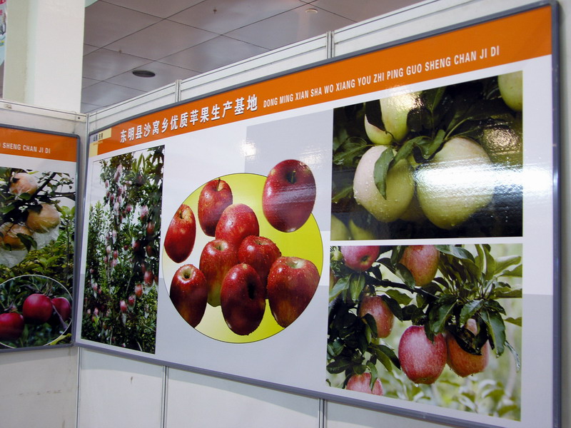 闲逛菏泽林交会