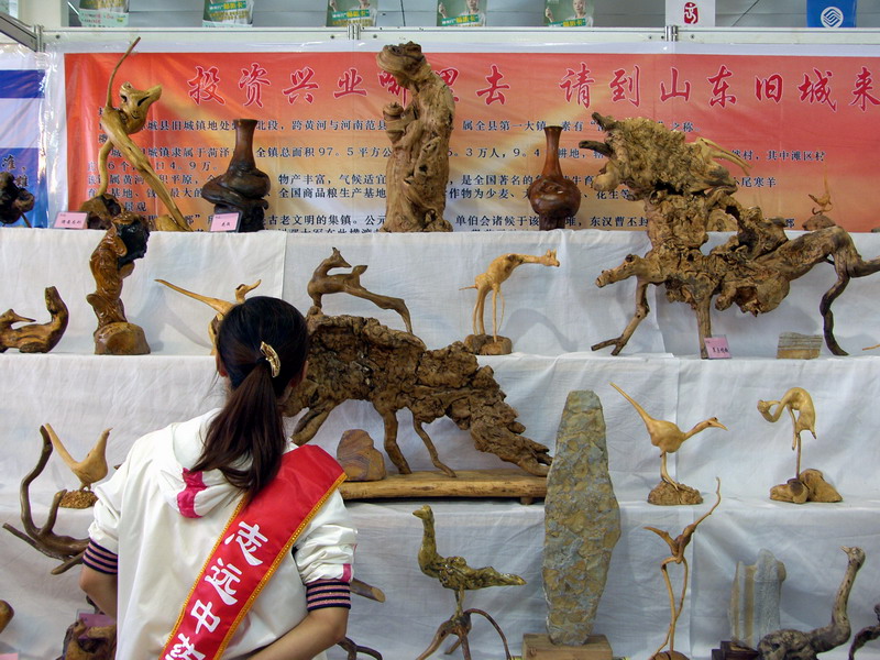 闲逛菏泽林交会