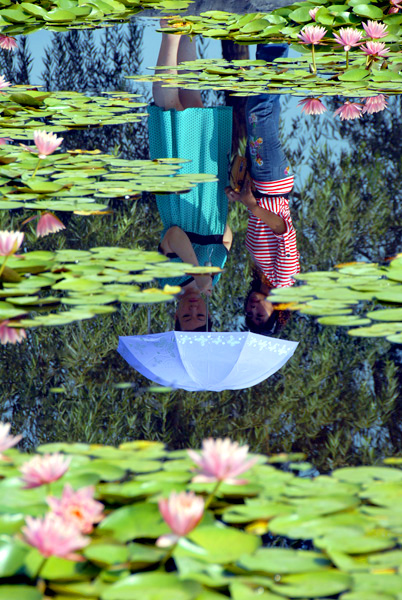 水中花