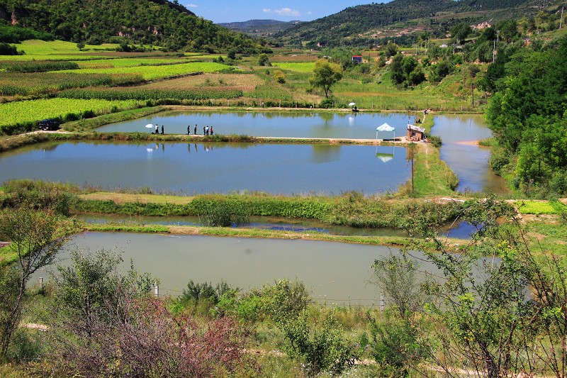 故地重游：富县牛武沟水库