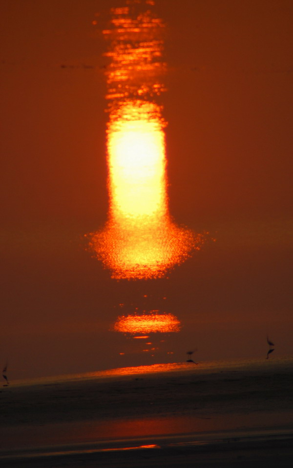 黄河边上看夕阳
