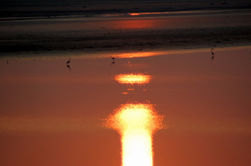 黄河边上看夕阳