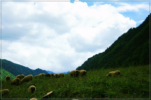 川西魅力---翻越夹金山