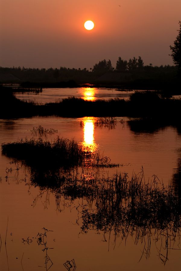 黄河边上看夕阳