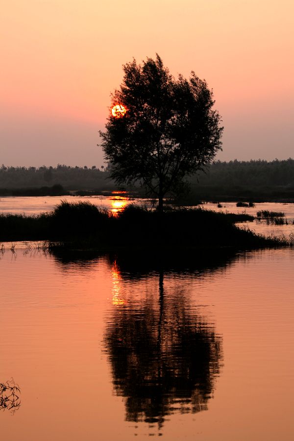 黄河边上看夕阳