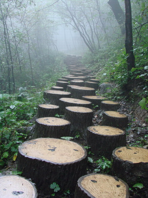重渡沟——山路十八湾
