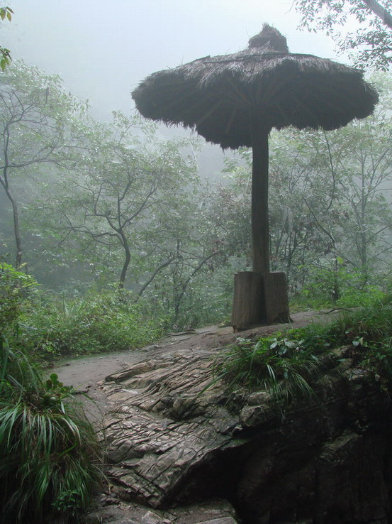重渡沟——山路十八湾