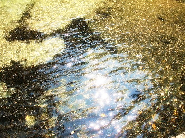 水