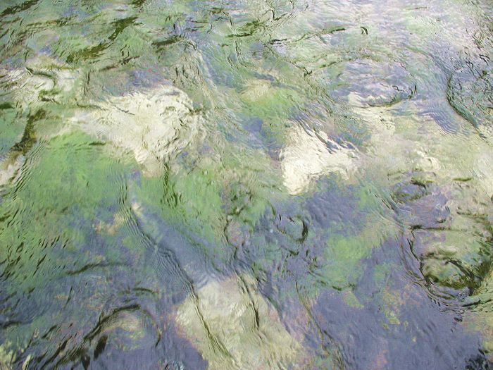 水