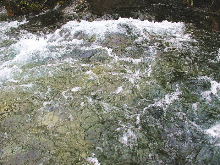 水