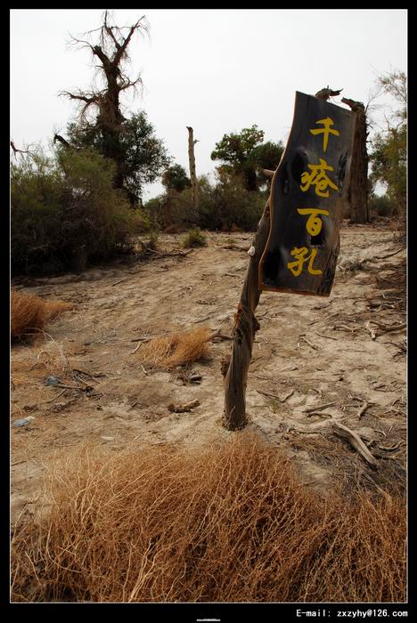 梦幻的新疆之旅！
