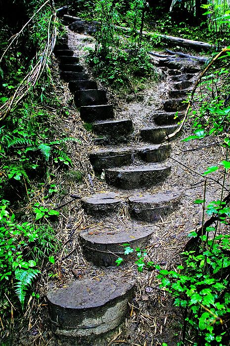 西藏之旅－－卡定沟的山路