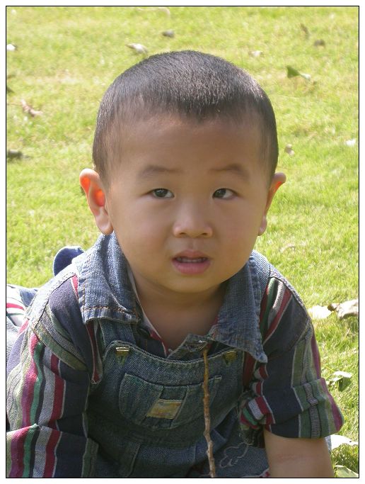 杨子和豆豆