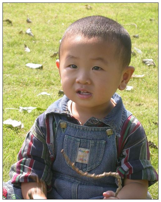 杨子和豆豆