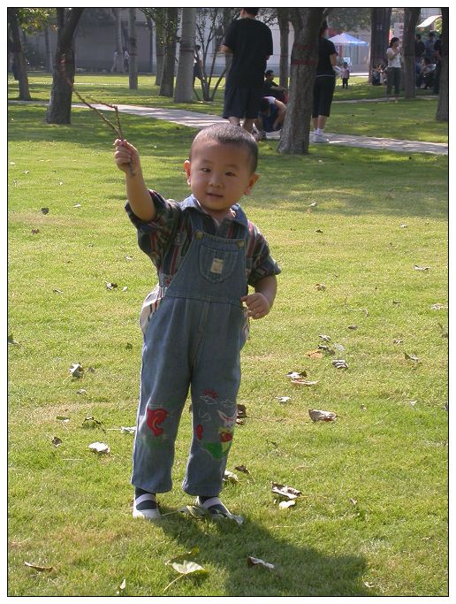 杨子和豆豆