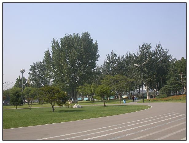 还是新蕾公园