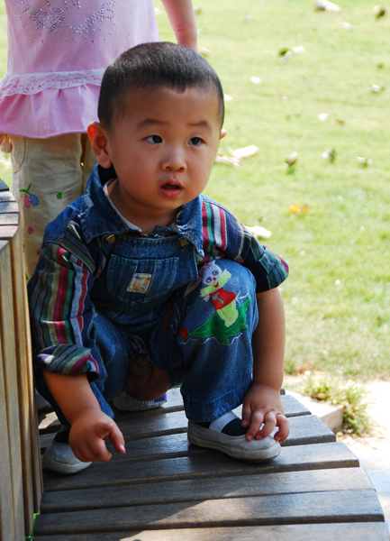 杨子和豆豆