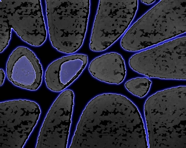 （原创）几何体的变形