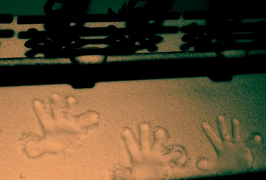 今年第一场雪来的晚了些