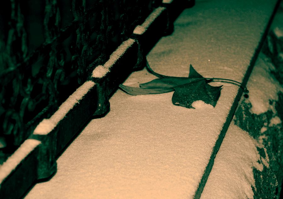 今年第一场雪来的晚了些