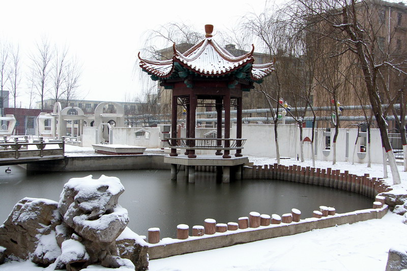 2008年第一场雪