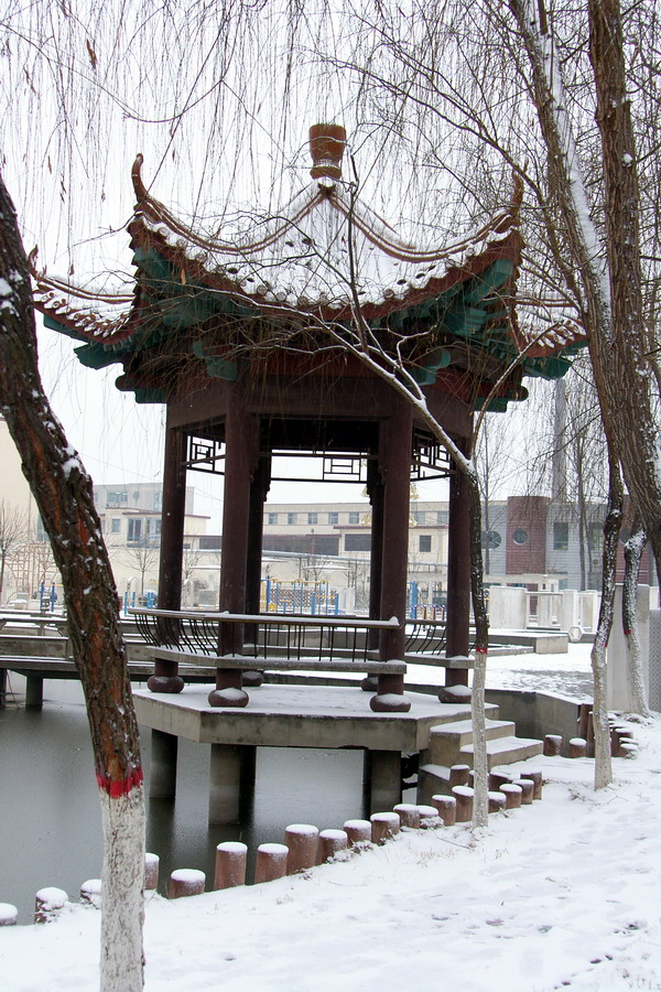 2008年第一场雪