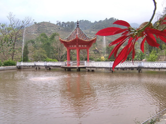 2008元旦出行