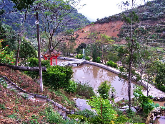 2008元旦出行