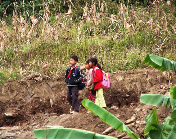 2008元旦出行